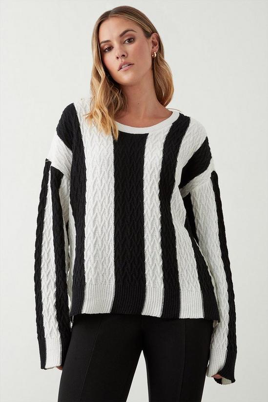 Dorothy Perkins Stripe Cable Knitted Jumper 2