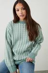 Dorothy Perkins Tall Plaited Cable Jumper With Side Splits thumbnail 1