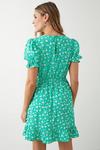 Dorothy Perkins Green Floral Ruffle Hem Mini Dress thumbnail 3