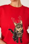 Dorothy Perkins Christmas Cat Crew Neck Sweatshirt thumbnail 4