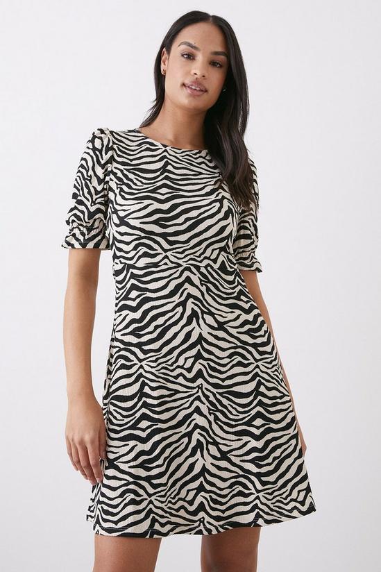 Dorothy Perkins Mono Zebra Print Mini Dress 2