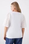 Dorothy Perkins Curve White Broderie Sleeve T-shirt thumbnail 3