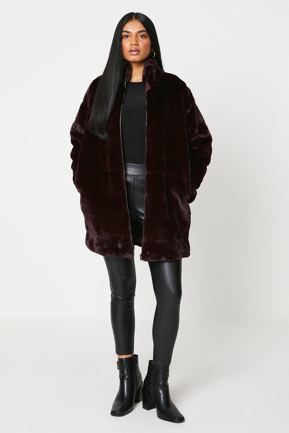 Dorothy perkins sale berry coat