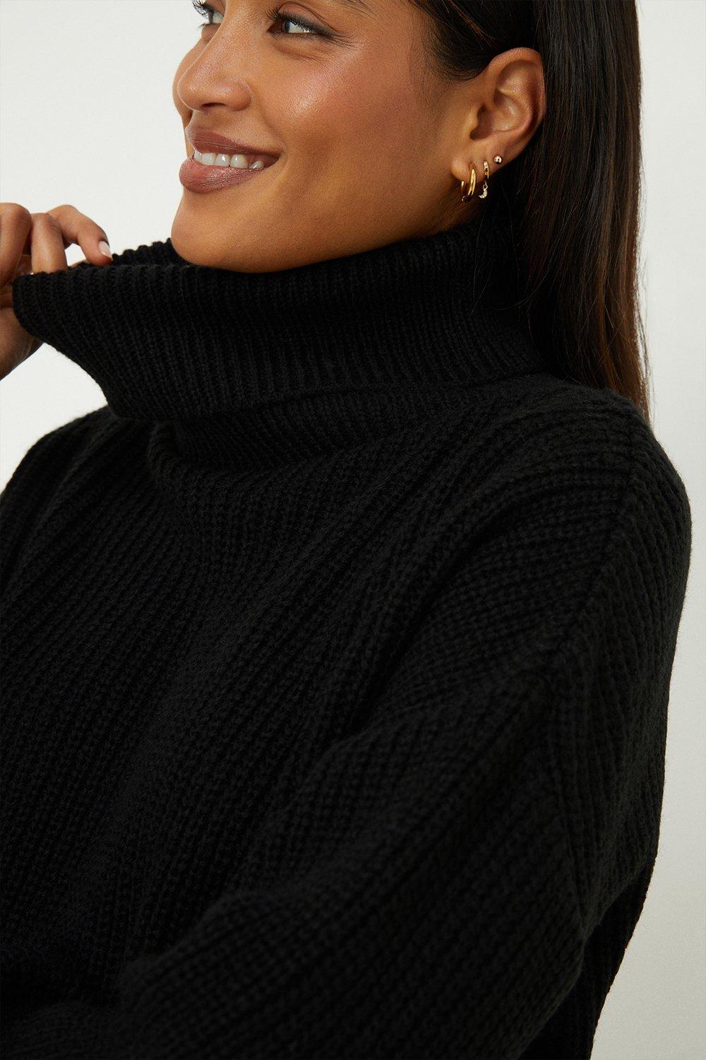 Dorothy perkins shop polo neck jumpers