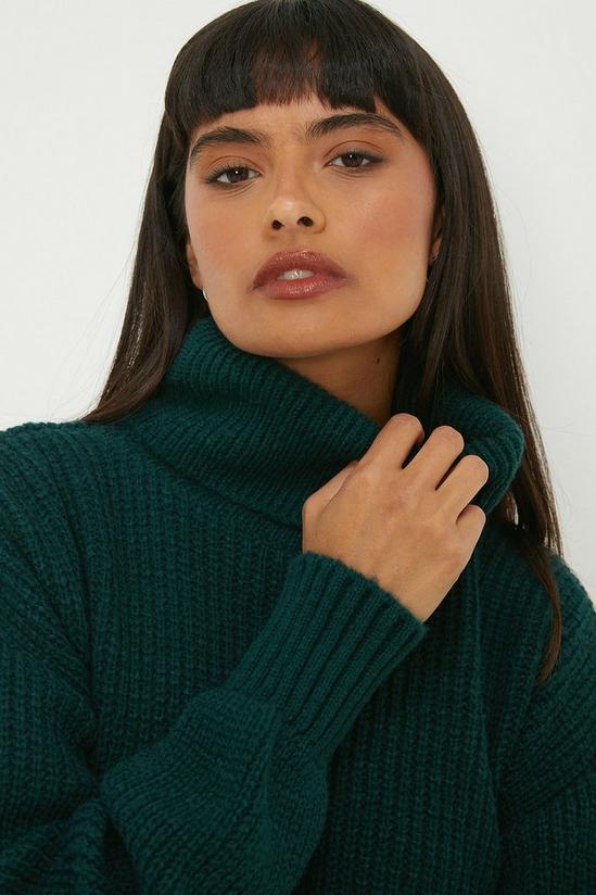 Jumpers & Cardigans | Longline Roll Neck Chunky Jumper | Dorothy Perkins