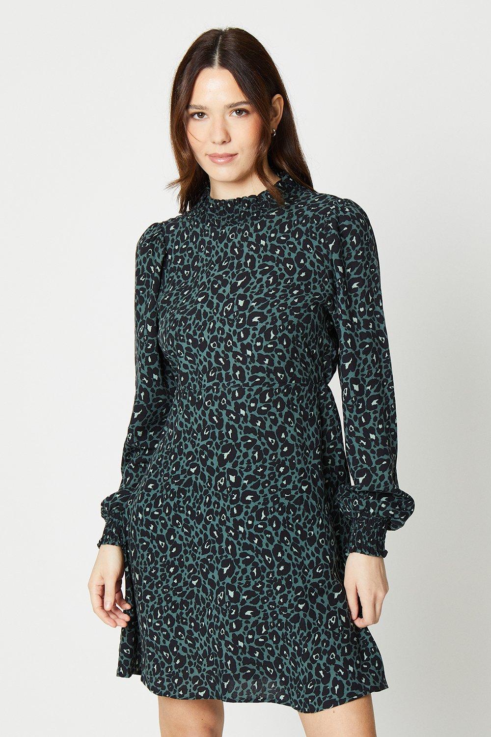 Dorothy perkins shop parrot dress