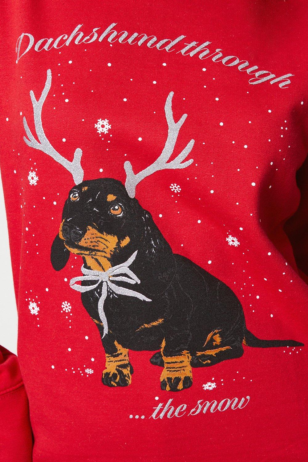 Dachshund through the snow jumper sales