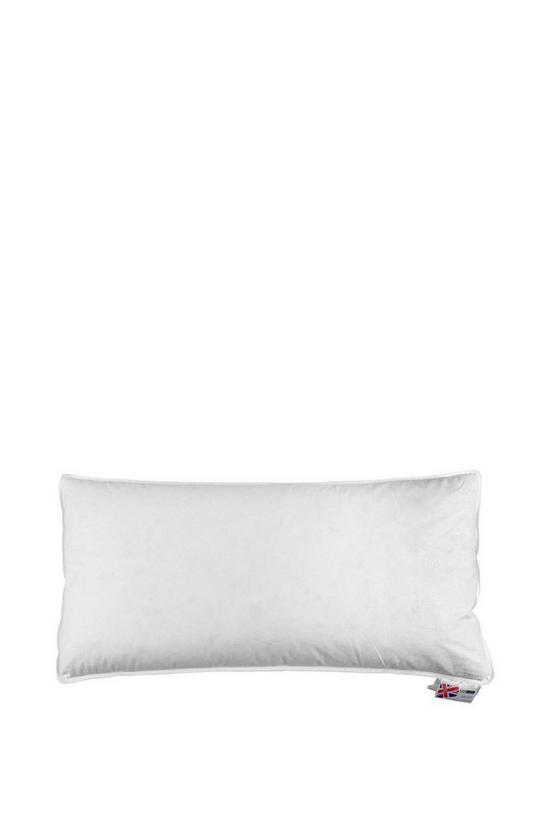Homescapes Duck Feather Euro Continental Pillow - 40cm x 80cm (16"x32") 1