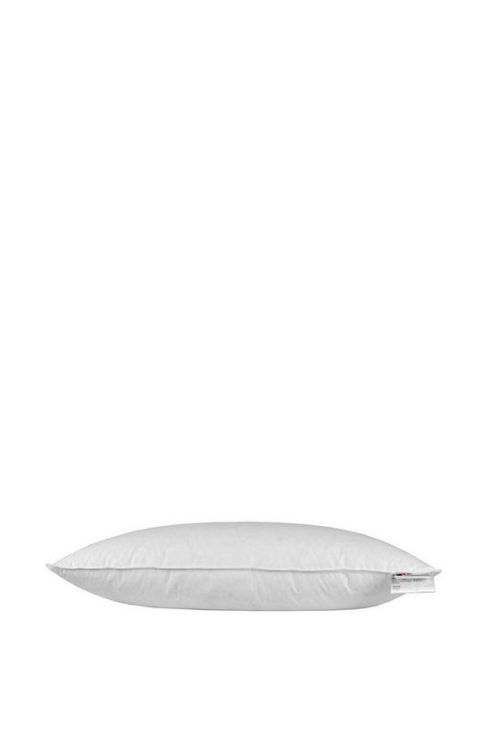 Homescapes Duck Feather Euro Continental Pillow - 40cm x 80cm (16"x32") 2