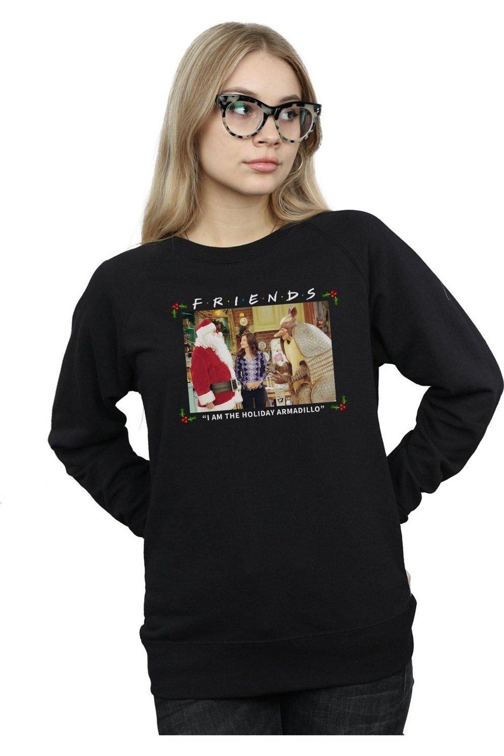 Holiday armadillo cheap sweatshirt