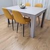 KOSY KOALA Grey Dining Table with 4 Mustard-Stitched Chairs Dining Room set thumbnail 3