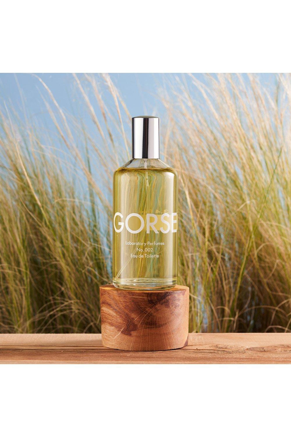 Fragrance Gorse Eau de Toilette 100ml Laboratory perfumes